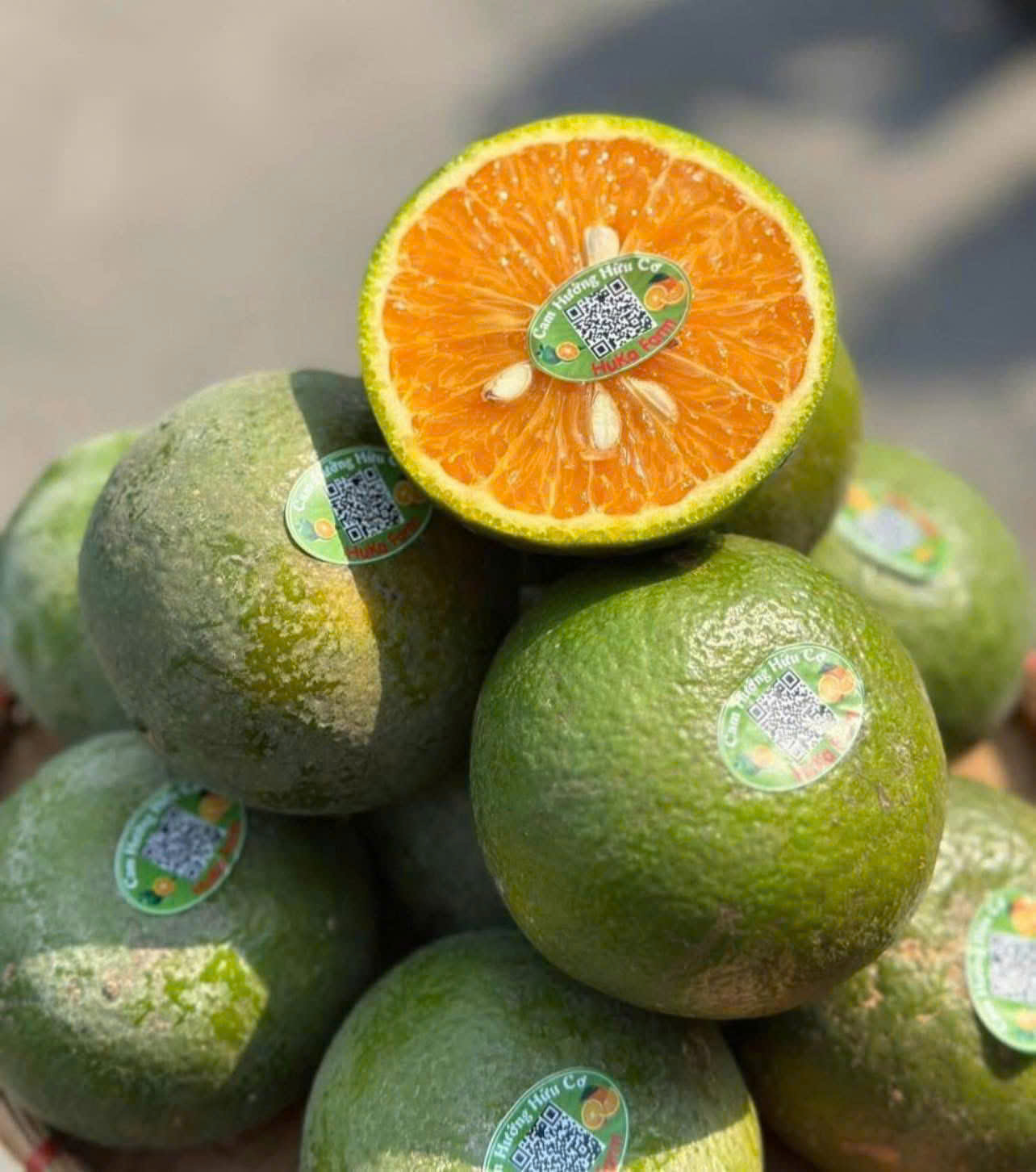 Canh Sành Hukafarm - ảnh 2