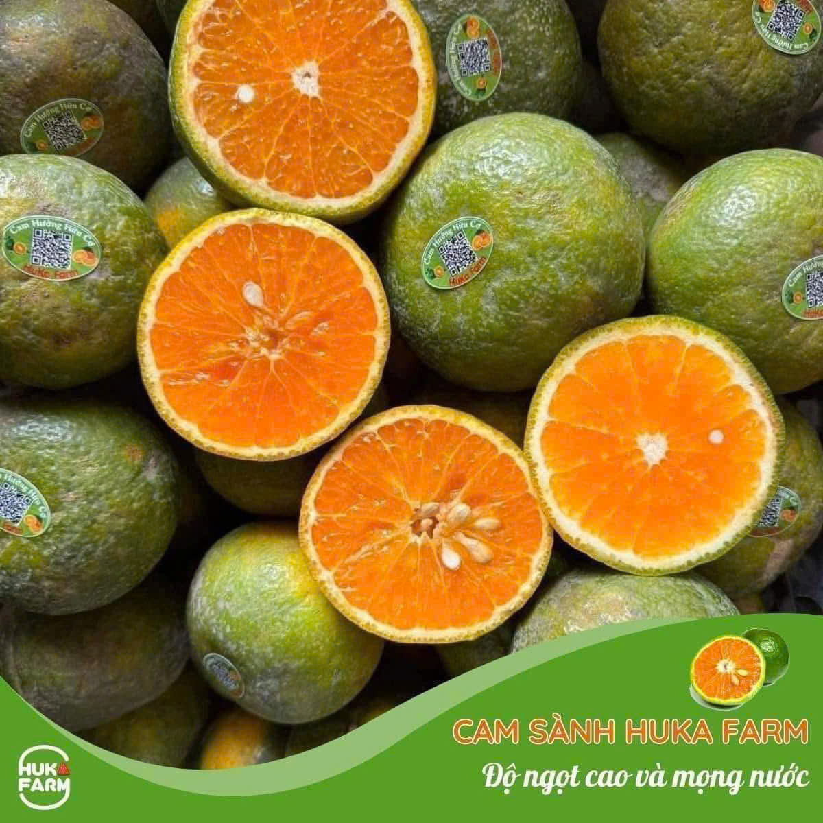 Canh Sành Hukafarm - ảnh 3