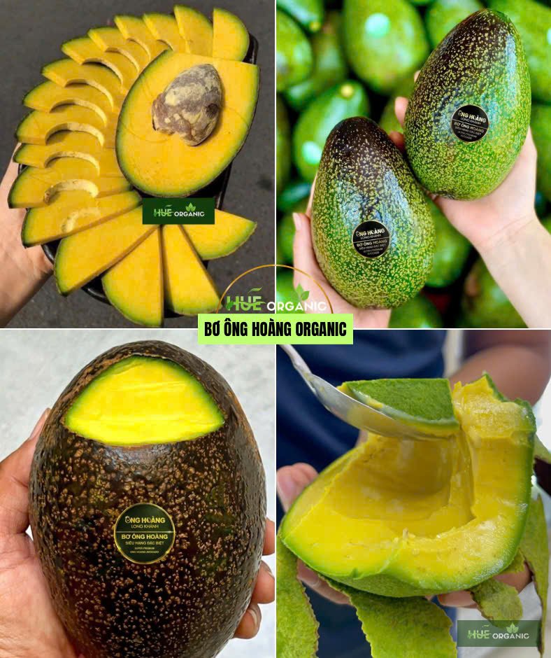 629209308233035366 (4).jpg