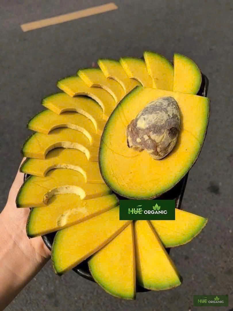 BƠ ÔNG HOÀNG - BƠ VUA ORGANIC - BƠ SÁP SIÊU HẠNG ĐẶC BIỆT - BƠ NGON NHẤT VIỆT NAM