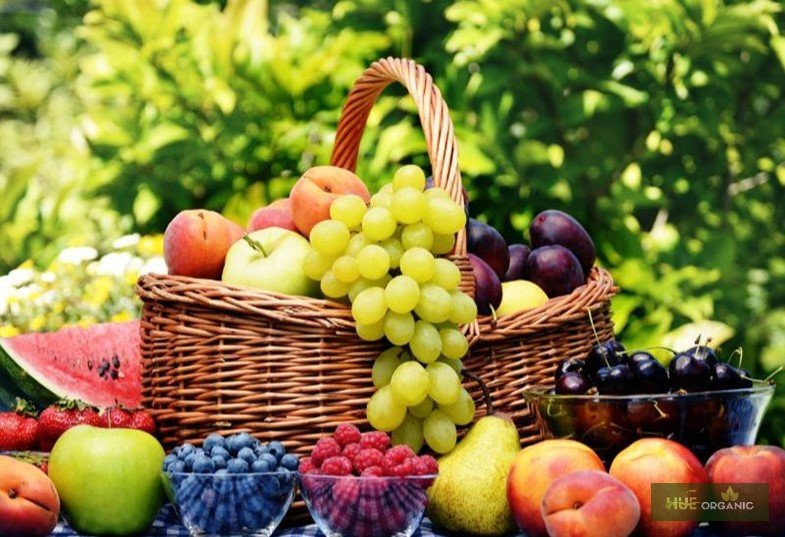 TRÁI CÂY NHẬP KHẨU CHÍNH NGẠCH