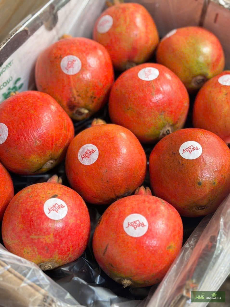 LỰU ẤN ĐỘ - LỰU NGON NHẤT THẾ GIỚI - ảnh 2