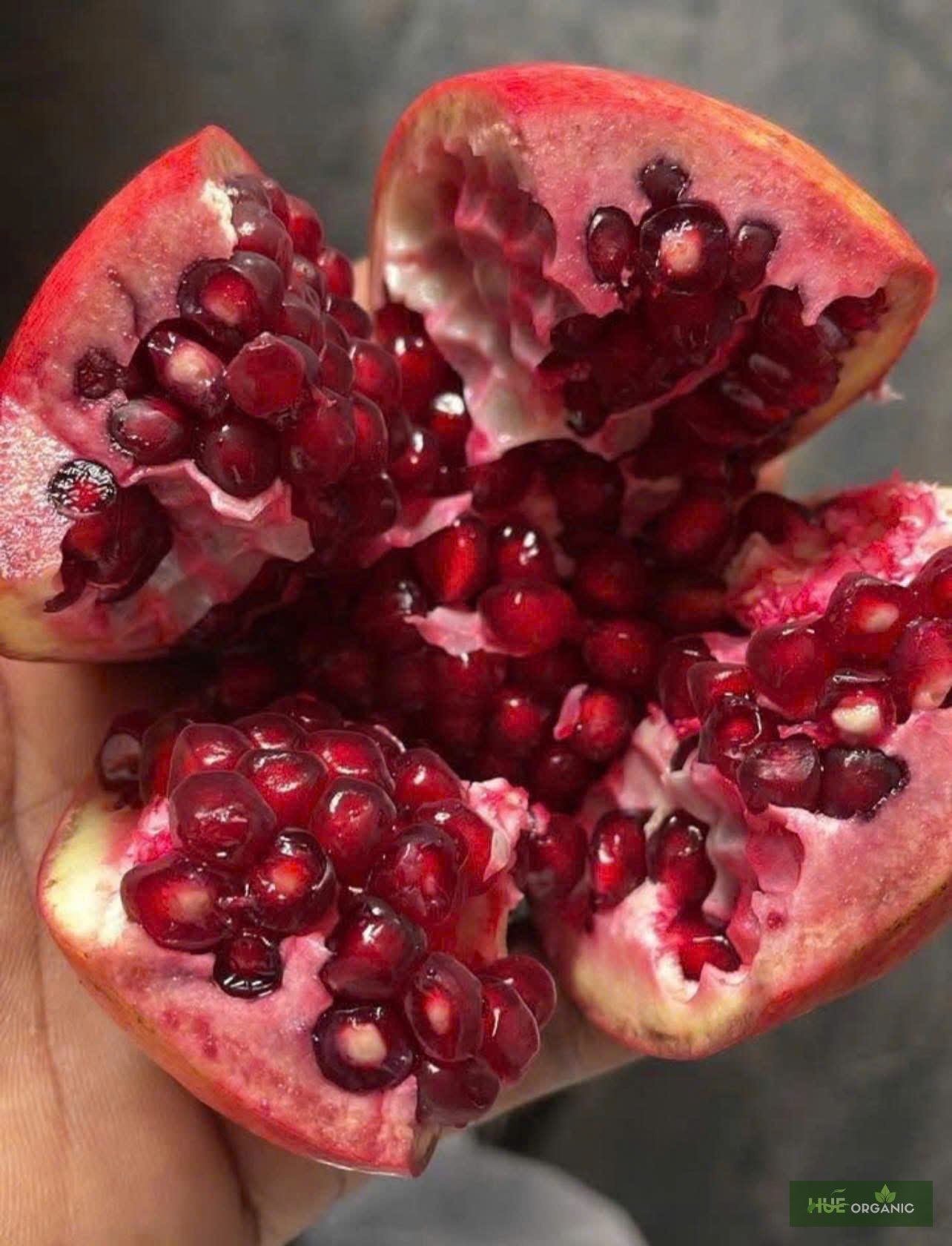 LỰU ẤN ĐỘ - LỰU NGON NHẤT THẾ GIỚI - ảnh 3