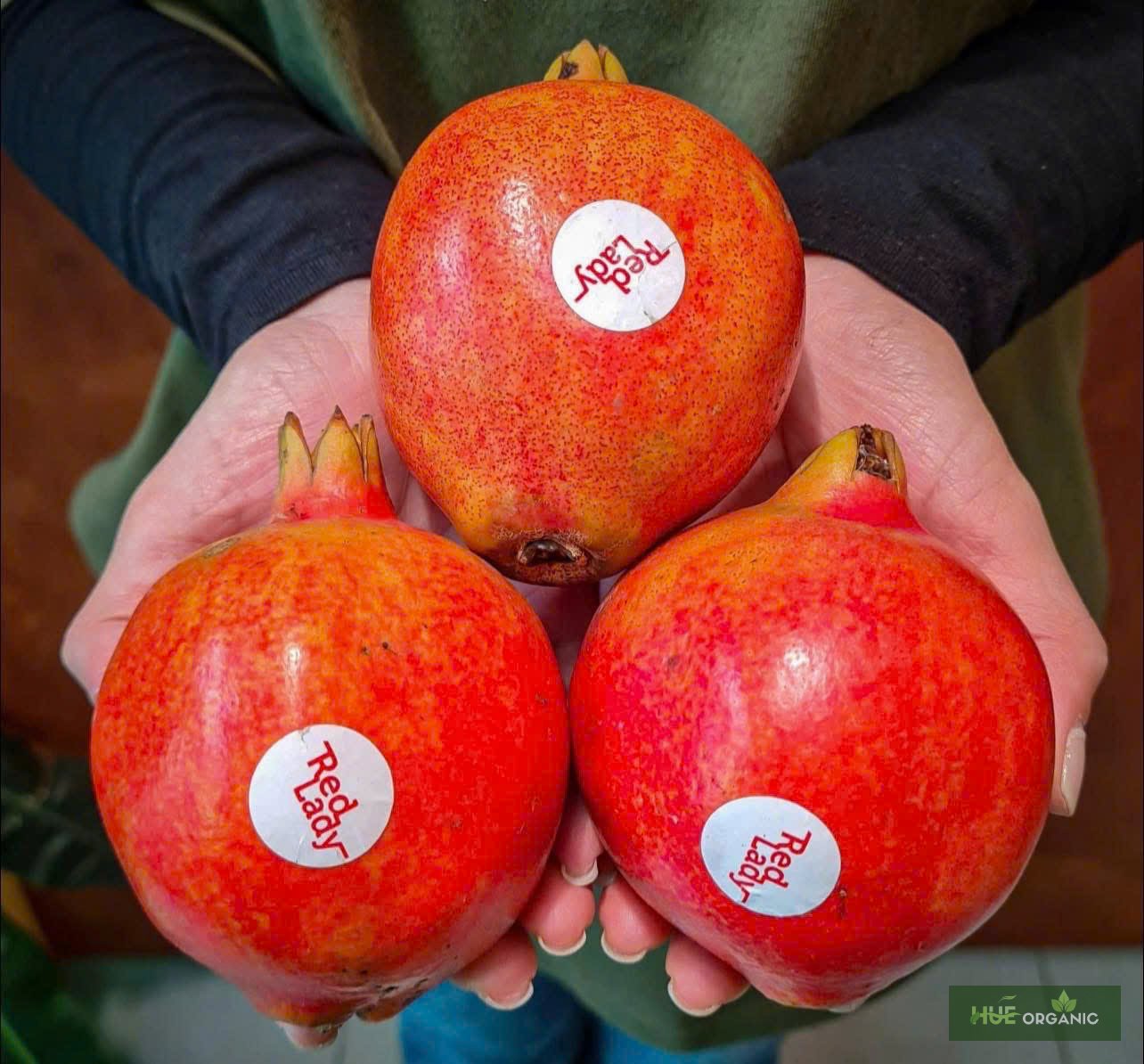 LỰU ẤN ĐỘ - LỰU NGON NHẤT THẾ GIỚI - ảnh 5