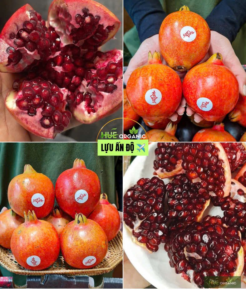 LỰU ẤN ĐỘ - LỰU NGON NHẤT THẾ GIỚI - ảnh 6