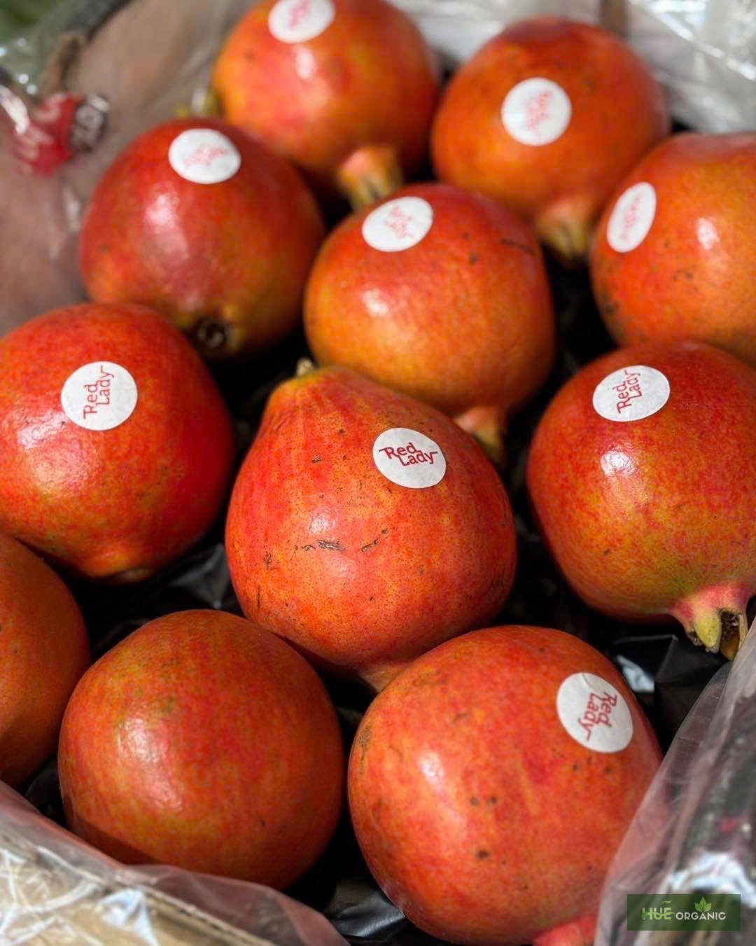 LỰU ẤN ĐỘ - LỰU NGON NHẤT THẾ GIỚI - ảnh 7