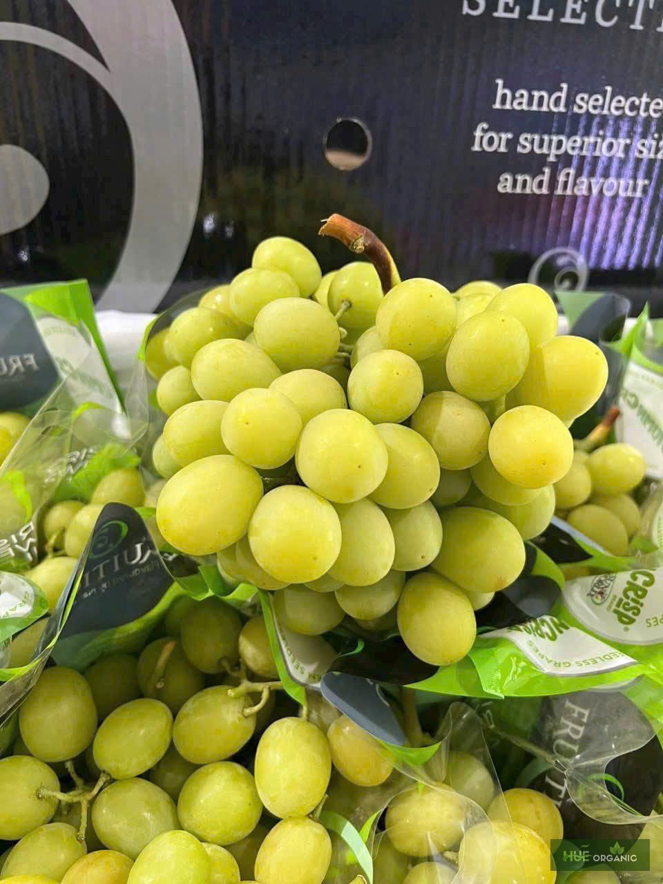 NHO XANH ÚC PREMIUM - RẤT GIÒN, NGỌT NGON - ảnh 2