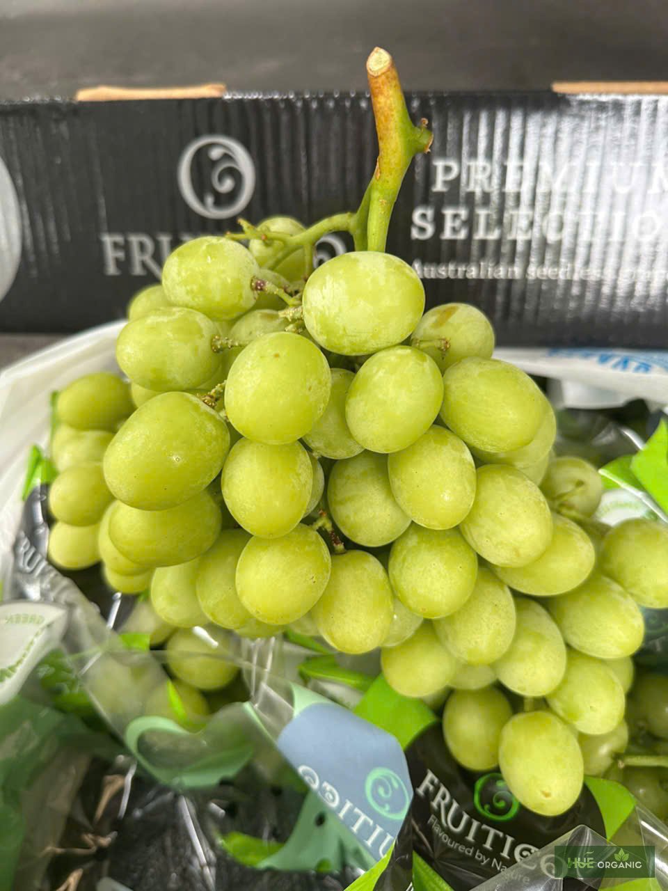 NHO XANH ÚC PREMIUM - RẤT GIÒN, NGỌT NGON - ảnh 4