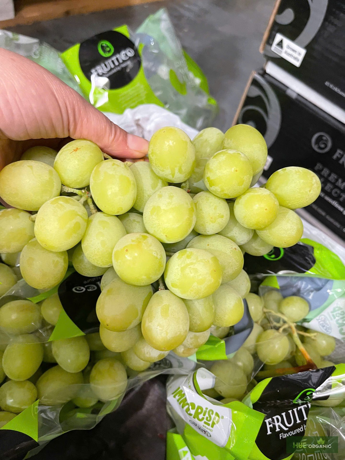 NHO XANH ÚC PREMIUM - RẤT GIÒN, NGỌT NGON - ảnh 5