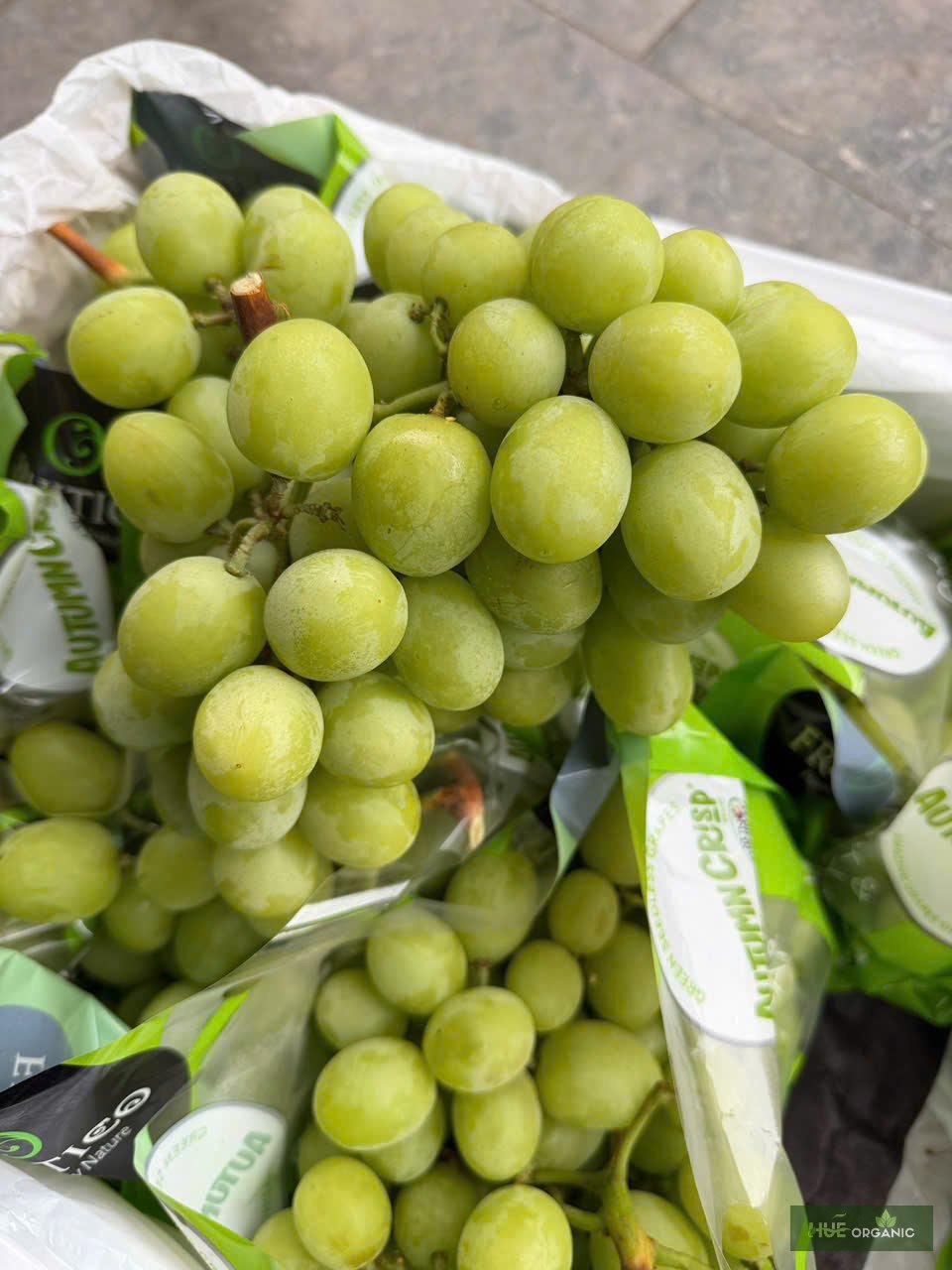 NHO XANH ÚC PREMIUM - RẤT GIÒN, NGỌT NGON - ảnh 6