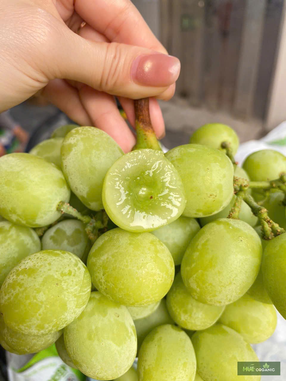 NHO XANH ÚC PREMIUM - RẤT GIÒN, NGỌT NGON - ảnh 8