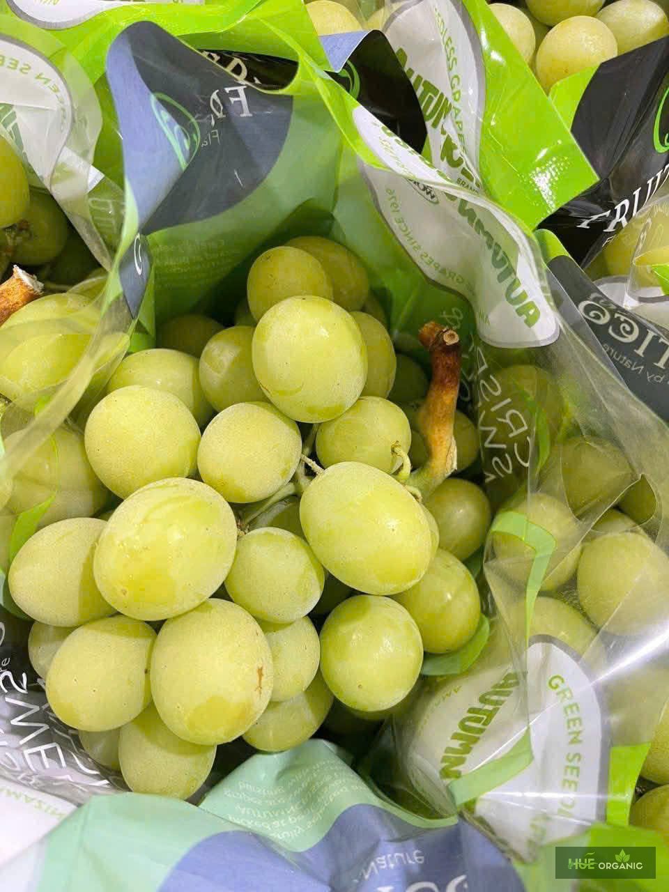 NHO XANH ÚC PREMIUM - RẤT GIÒN, NGỌT NGON - ảnh 10