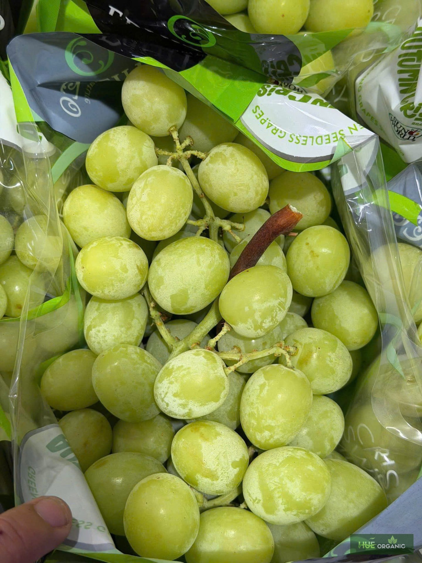 NHO XANH ÚC PREMIUM - RẤT GIÒN, NGỌT NGON - ảnh 11