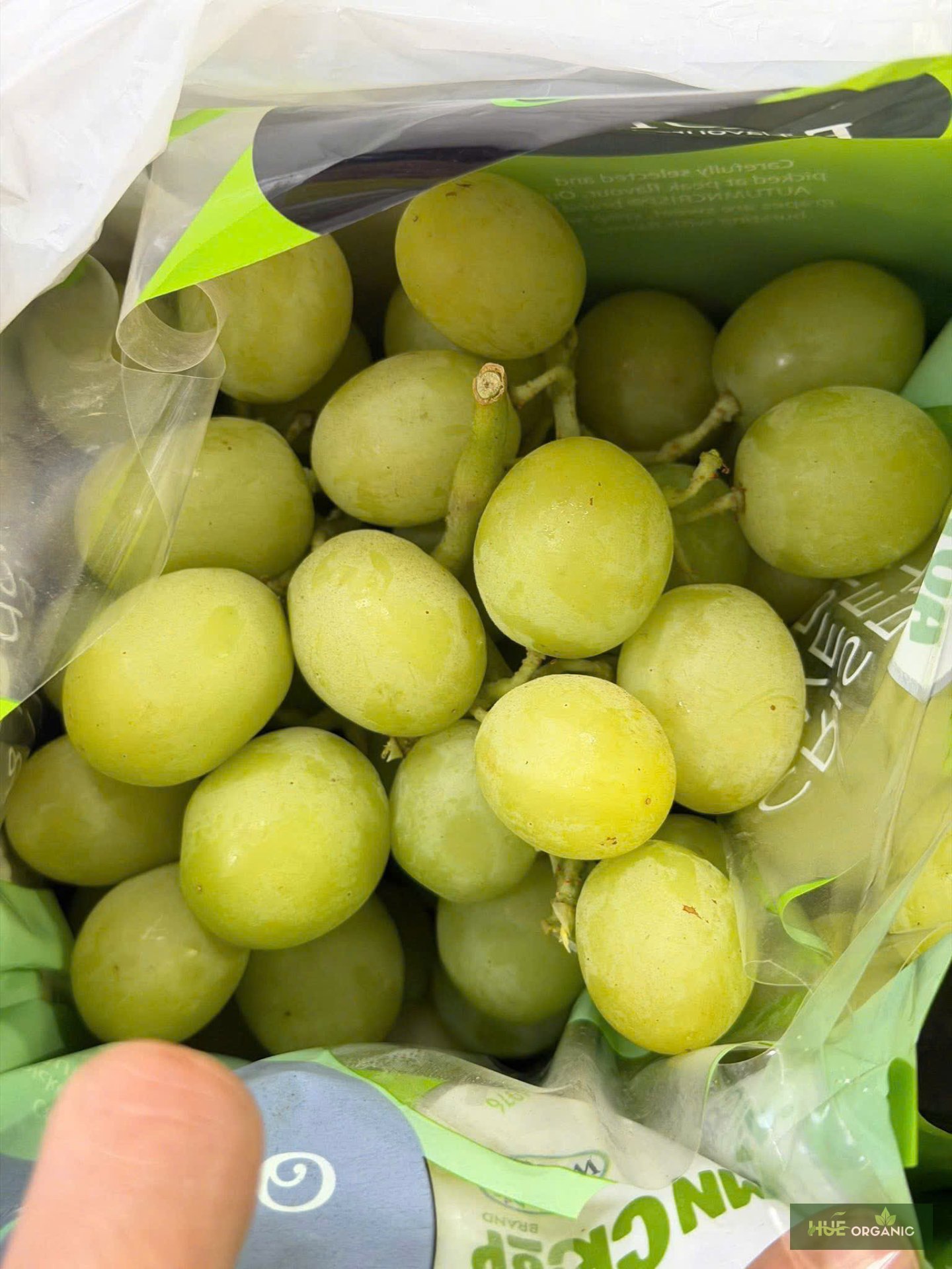 NHO XANH ÚC PREMIUM - RẤT GIÒN, NGỌT NGON - ảnh 12