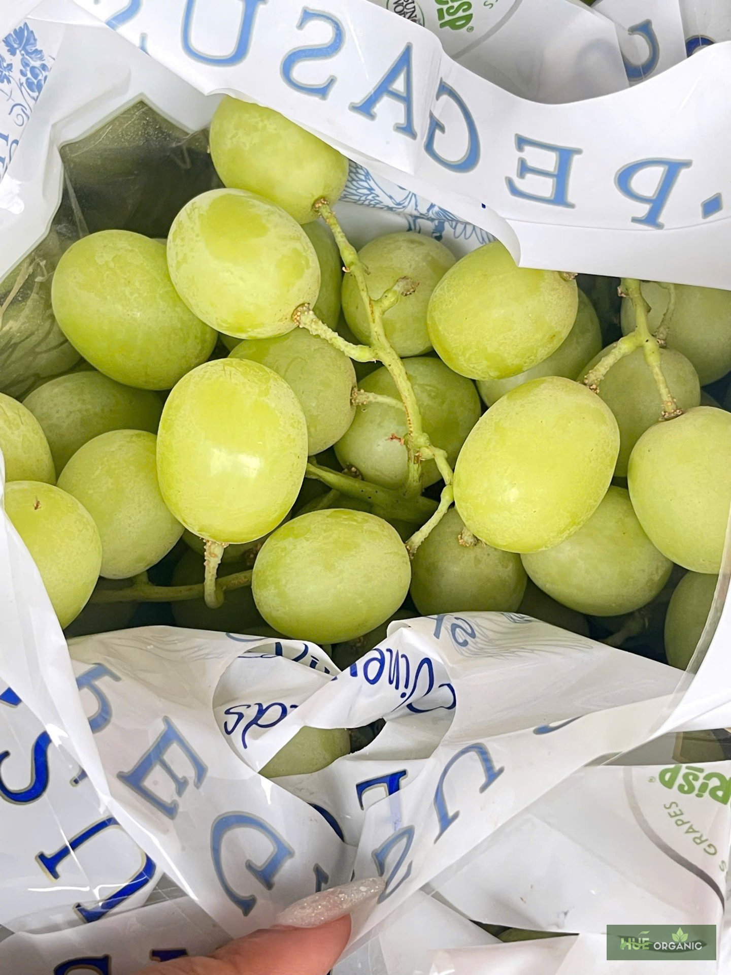 NHO XANH ÚC PREMIUM - RẤT GIÒN, NGỌT NGON - ảnh 13