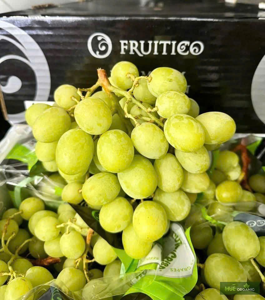 NHO XANH ÚC PREMIUM - RẤT GIÒN, NGỌT NGON - ảnh 14