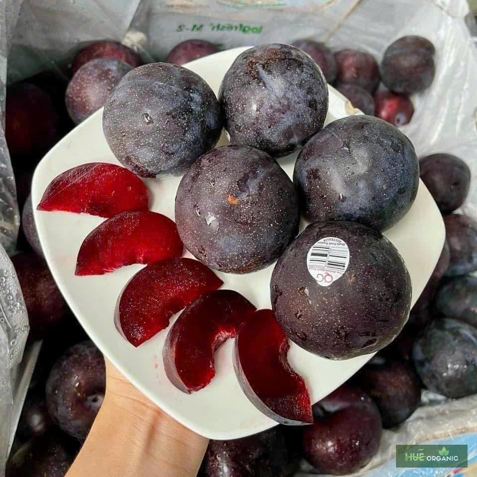 MẬN ÚC RUỘT ĐỎ - ảnh 2