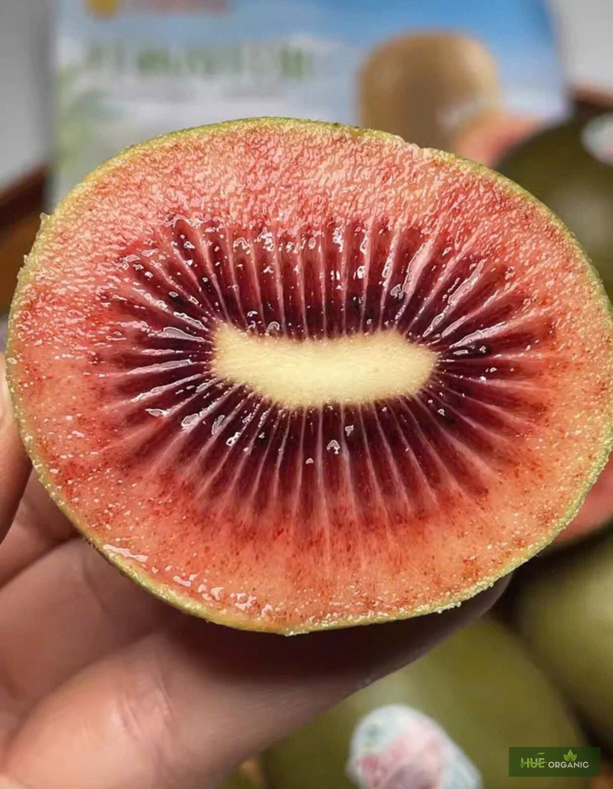 KIWI RUBY RED NEWZEALAND - KIWI RUỘT ĐỎ HIẾM - ảnh 4
