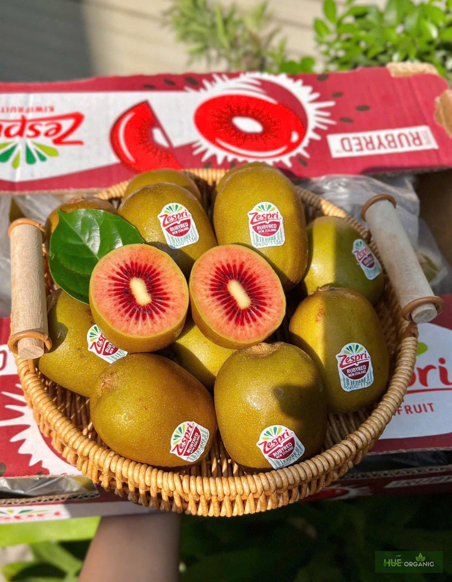 KIWI RUBY RED NEWZEALAND - KIWI RUỘT ĐỎ HIẾM - ảnh 5