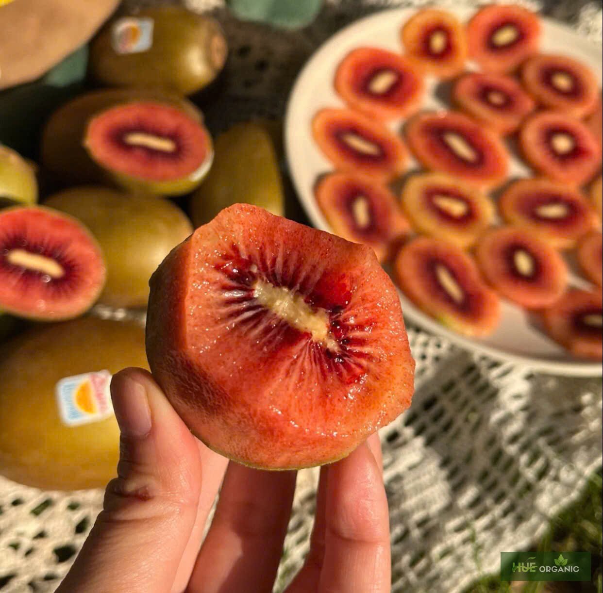 KIWI RUBY RED NEWZEALAND - KIWI RUỘT ĐỎ HIẾM - ảnh 6