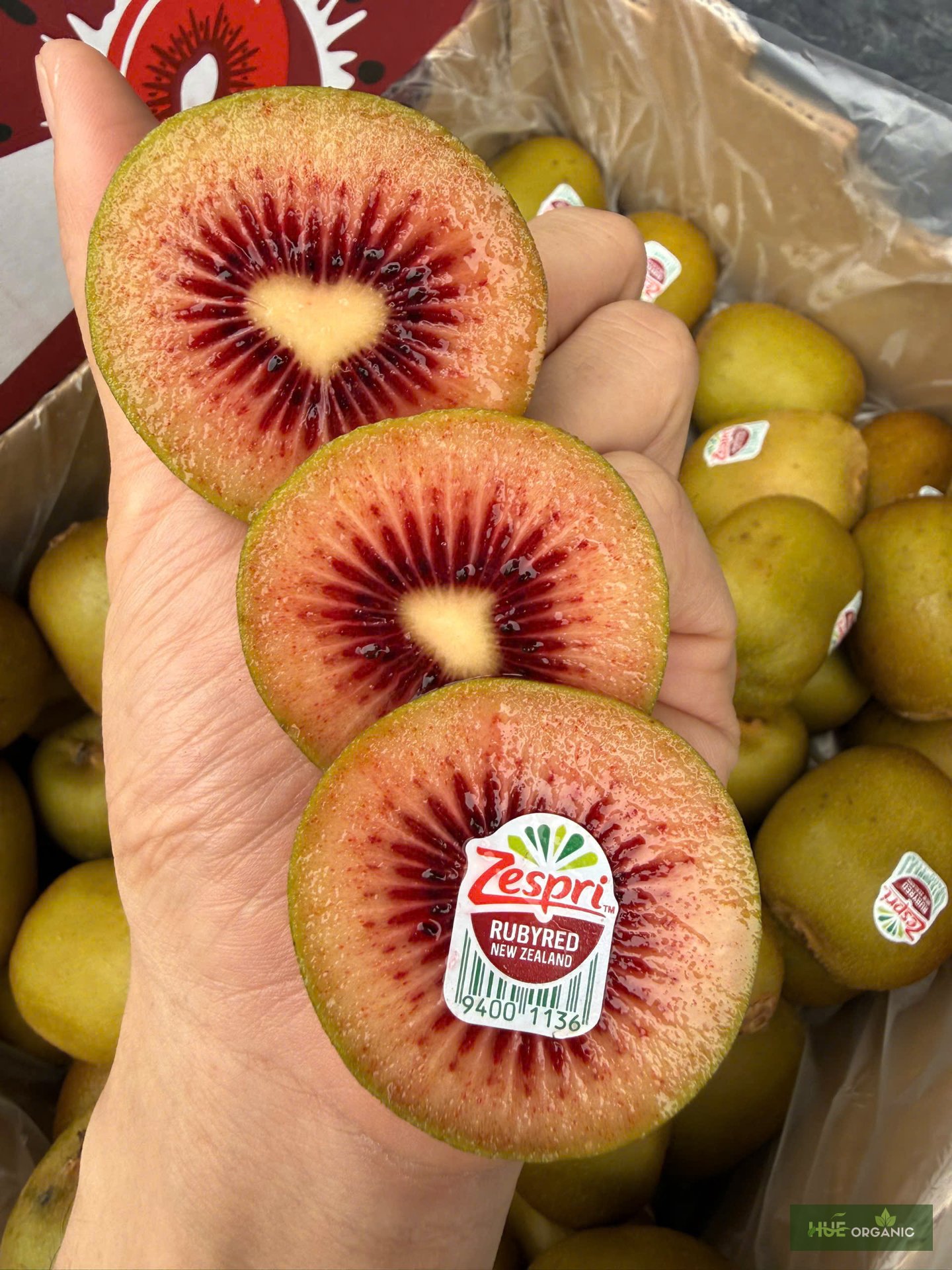 KIWI RUBY RED NEWZEALAND - KIWI RUỘT ĐỎ HIẾM - ảnh 7